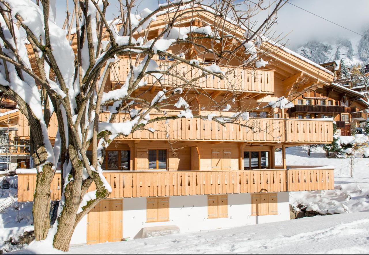 Panoramapark Soleil Chalet C Wengen Kültér fotó